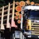 "Final Destination" in real life! (Accidents with timber trucks)