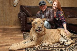 ‘We Live With 220 Lions And Tigers'