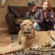 ‘We Live With 220 Lions And Tigers'