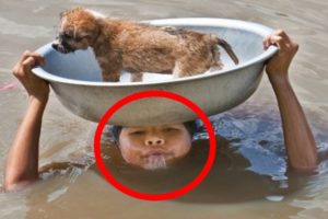 10 AMAZING Animal Rescues THAT WILL SHOCK YOU!