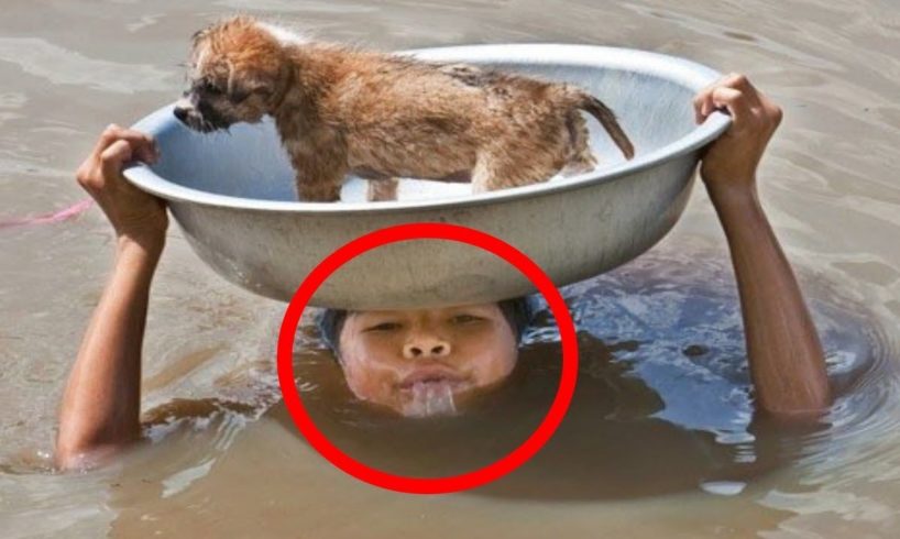 10 AMAZING Animal Rescues THAT WILL SHOCK YOU!