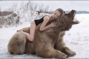 10 Incredible RELATIONSHIPS BETWEEN ANIMALS AND HUMAN