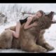 10 Incredible RELATIONSHIPS BETWEEN ANIMALS AND HUMAN