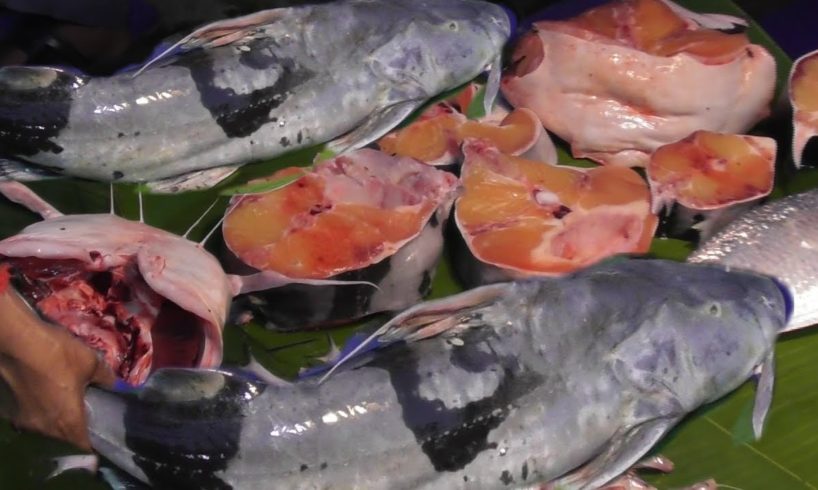 10 Kg Big Catfish (Arr Fish ) Cutting in Indian Street Market | Street Food Loves You Present