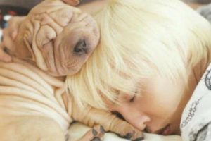 10 adorable K-pop idols & their equally cute puppies