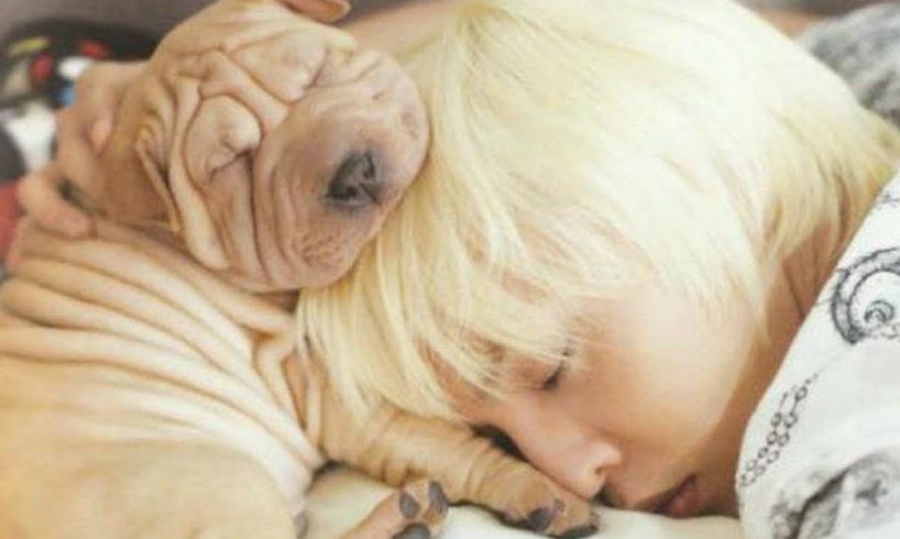 10 adorable K-pop idols & their equally cute puppies