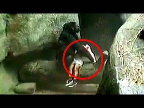 5 Real Life Heroes Amazing Animal Rescues