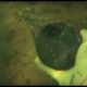 5 Scariest DIVER Footage Caught On Camera