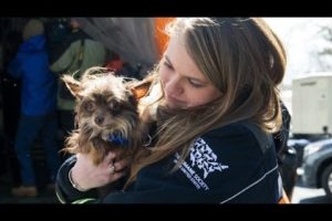 55 Rescued Arkansas Dogs Begin New Lives