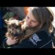 55 Rescued Arkansas Dogs Begin New Lives