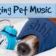 8 HOURS OF RELAX MY DOG MUSIC!! Longest Video Yet! Relaxing Pet Music, Soundsweep ? RMD03