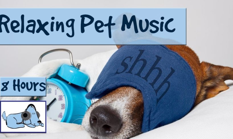 8 HOURS OF RELAX MY DOG MUSIC!! Longest Video Yet! Relaxing Pet Music, Soundsweep ? RMD03