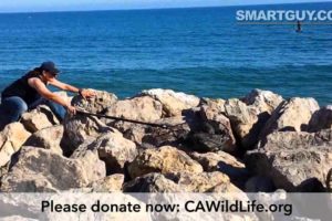 AMAZING Animal Rescue - Shocking -  Wait until you see what happens...