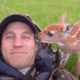 Abandoned Baby Deer Rescued And Rehabilitated by Hero | The Dodo Heroes