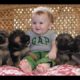 Adorable Puppies and Kittens Playing With Babies Very Cute Compilation 2016
