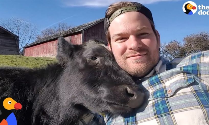 Amazing Man Turns Family Farm Into Animal Sanctuary | The Dodo