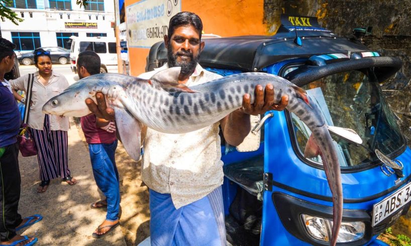 Amazing Sri Lankan Food - ARMY SPECIAL FORCES in Batticaloa, Sri Lanka!