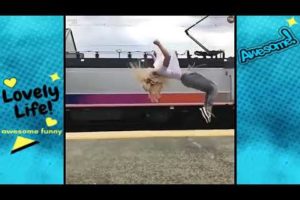 Amazing Videos 2019 | Awesome Videos, Like a Boss - People are Awesome...