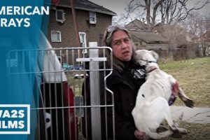 Animal Cops Detroit Rescue Dogs From Neglect The Dirty Side of Dog Rescue Hope For Dogs | My DoDo