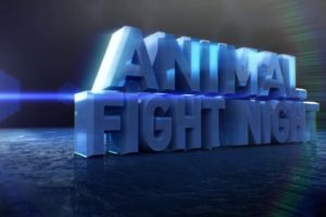 Animal Fight Night