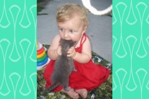 Annoying Baby and Cats -  Babies have happy time to playing with Cat