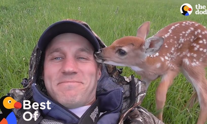 Baby Animals Are So Grateful These Guys Saved Their Lives | The Dodo Best Of