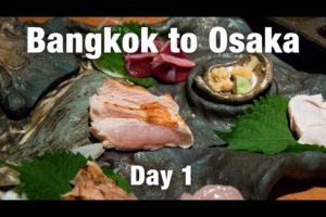 Bangkok to Osaka, Japan (& the Surprise Chicken Sashimi)