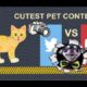 Bengal Cats React To : Cute Puppies vs Cute Cats | Cutest Animal In The World ? (2019) - Ep.19