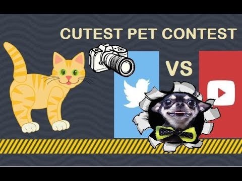 Bengal Cats React To : Cute Puppies vs Cute Cats | Cutest Animal In The World ? (2019) - Ep.19