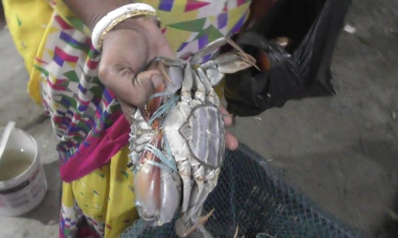Big Size Crab Selling at Bakkhali Sea Beach West Bengal India | Street Food Loves You