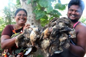 Birds Biryani | Traditional Birds Biryani | Country foods |Quail Biryani