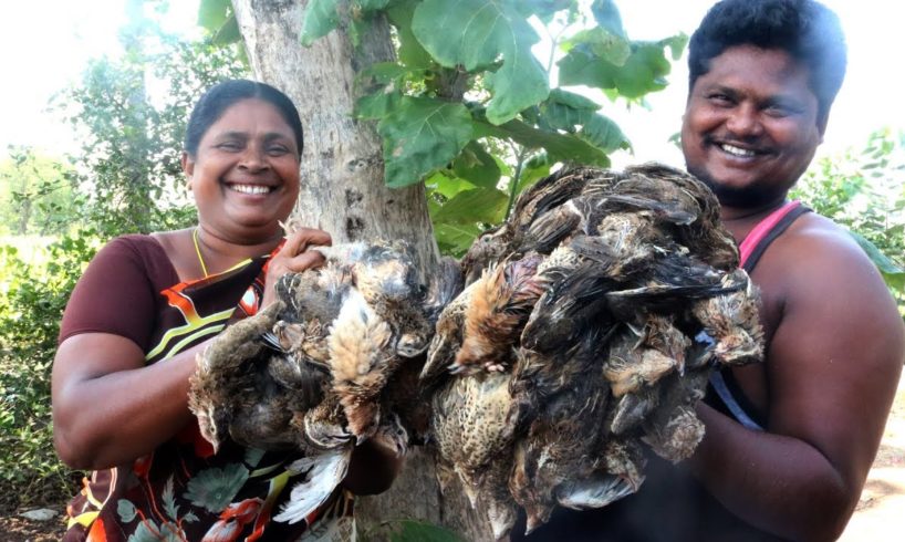 Birds Biryani | Traditional Birds Biryani | Country foods |Quail Biryani