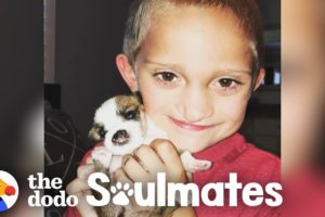 Boy And His Puppy Both Have The Same Cleft Palates | The Dodo Soulmates