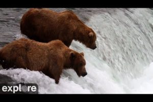 Brooks Falls - Katmai National Park, Alaska powered by EXPLORE.org