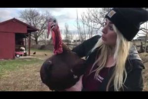 CUTEST Rescued Farm Animals Ever