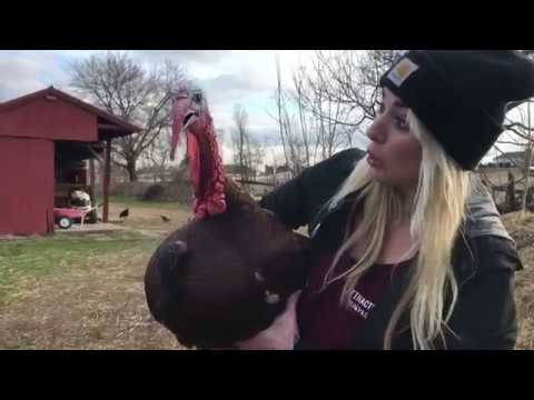 CUTEST Rescued Farm Animals Ever