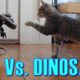 Cat Vs. Dinosaur - Cat Spooked, Then Befriends a Robot Dinosaur - Maya The Cat