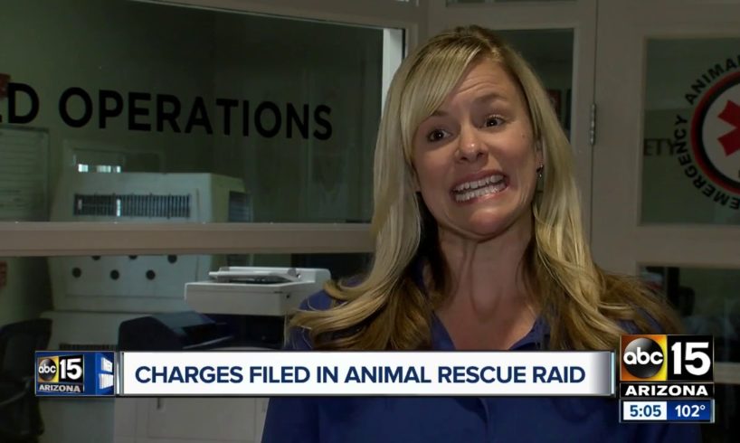 Charges filed in Phoenix animal rescue raid