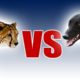 Cheetah vs Greyhound | World's Fastest Dog In Super Slow Motion | Slo Mo #29 | Earth Unplugged