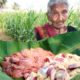 Chicken Liver || Yummy Chicken Liver Recipe By My Granny's