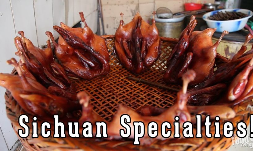 Chinese Street Food and Snacks | Sichuan Salted Duck and Local Specialties