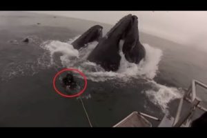 Close calls Near Miss Near Death Experiences Compilation