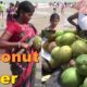 Coconut Water - Street Food Of Kolkata - Amazing Healthy Street Foods In india
