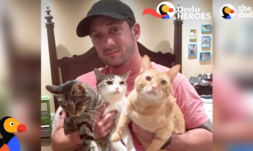 Couple Devotes Lives To Rescuing Special Needs Cats | Dodo Heroes