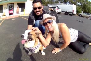 Cute Dogs | Cute Puppies | Goldy lockS Band | Let's Take A Ride | PRCSPCA | Pearl River County SPCA