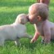 Cute Puppies and Babies Playing Together Compilation 2018