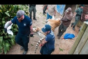 Dangerous Roadside Zoo Rescue