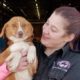 Dog, Cats Rescued From Abandoned Puppy Mill | The Dodo