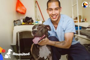 Dog Surprise Reunion with Prisoner Who Saved His Life | The Dodo REUNITED