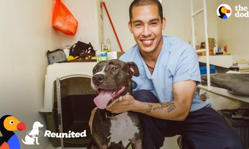 Dog Surprise Reunion with Prisoner Who Saved His Life | The Dodo REUNITED